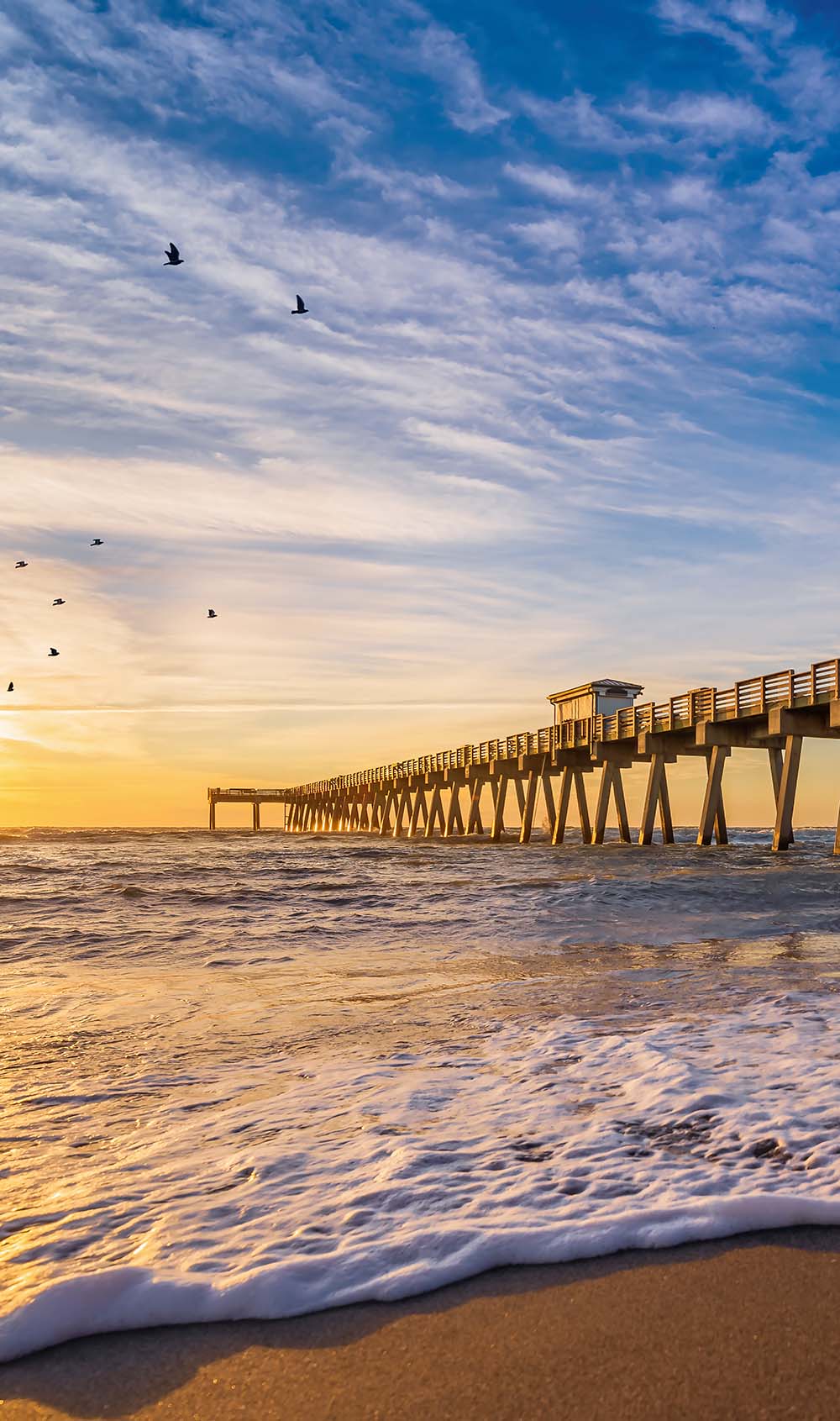 Steg_Florida