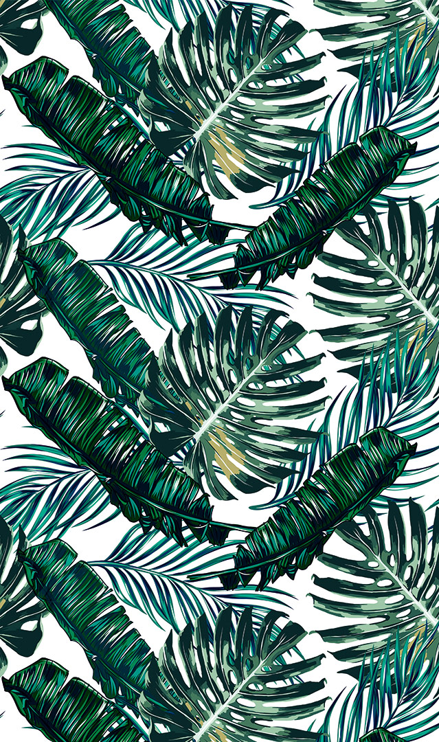 palm-leaves